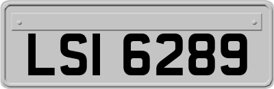 LSI6289