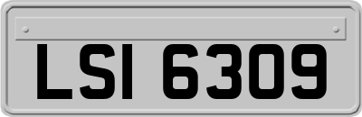 LSI6309