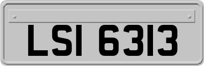 LSI6313