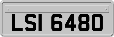 LSI6480