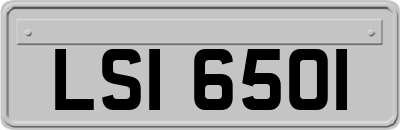 LSI6501