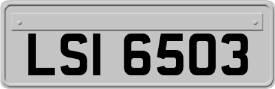 LSI6503