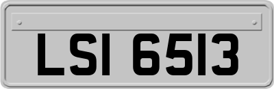 LSI6513