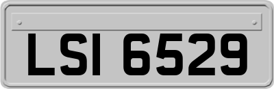 LSI6529