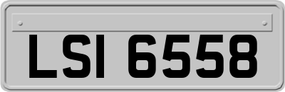 LSI6558