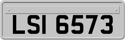 LSI6573