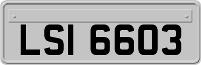 LSI6603