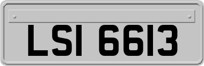 LSI6613