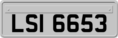 LSI6653