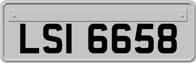 LSI6658