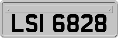 LSI6828