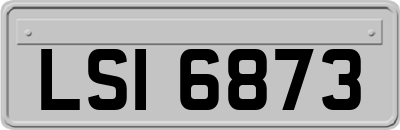 LSI6873