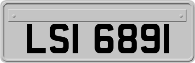 LSI6891