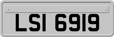 LSI6919