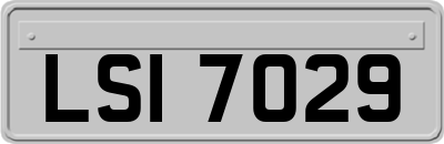LSI7029