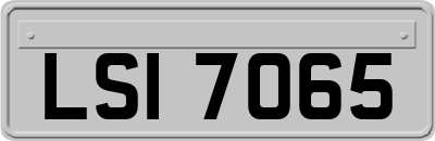 LSI7065