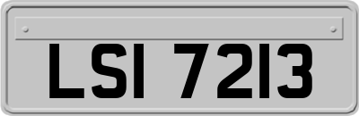 LSI7213