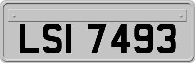 LSI7493