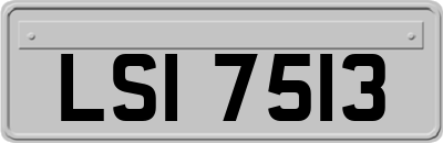 LSI7513