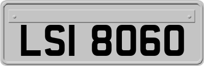 LSI8060