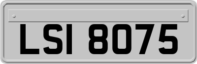 LSI8075