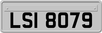 LSI8079