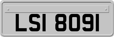LSI8091
