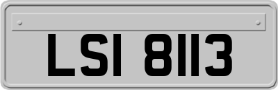 LSI8113