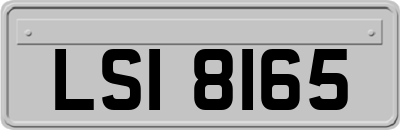 LSI8165