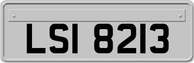 LSI8213