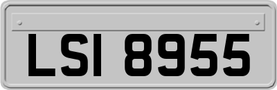 LSI8955