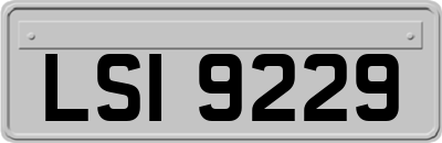 LSI9229