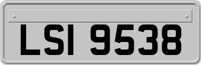 LSI9538