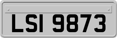 LSI9873