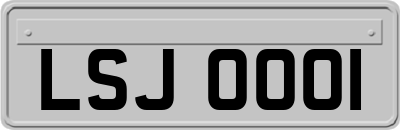 LSJ0001