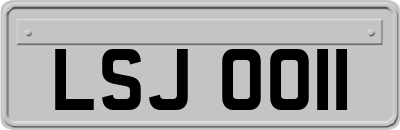LSJ0011