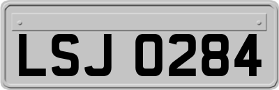 LSJ0284