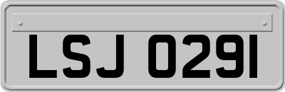 LSJ0291