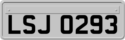 LSJ0293