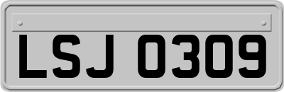 LSJ0309