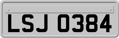 LSJ0384