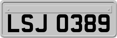LSJ0389