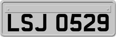 LSJ0529