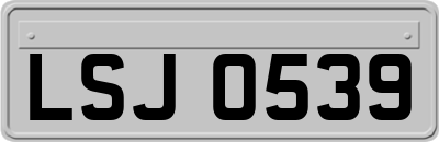 LSJ0539
