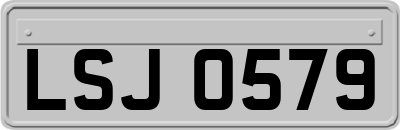 LSJ0579