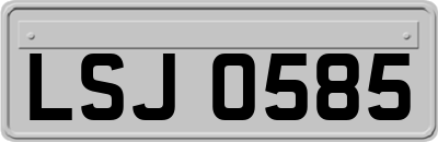 LSJ0585