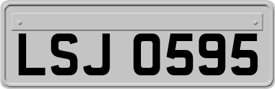 LSJ0595