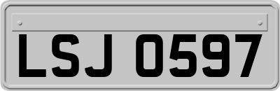 LSJ0597