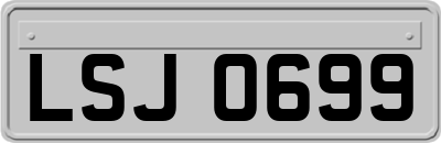 LSJ0699
