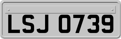 LSJ0739